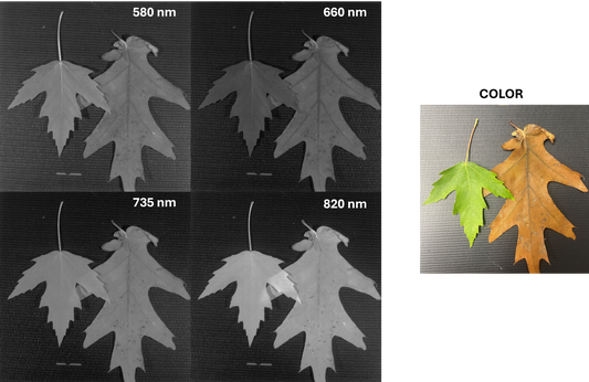 Vegetation Imaging - AGRI