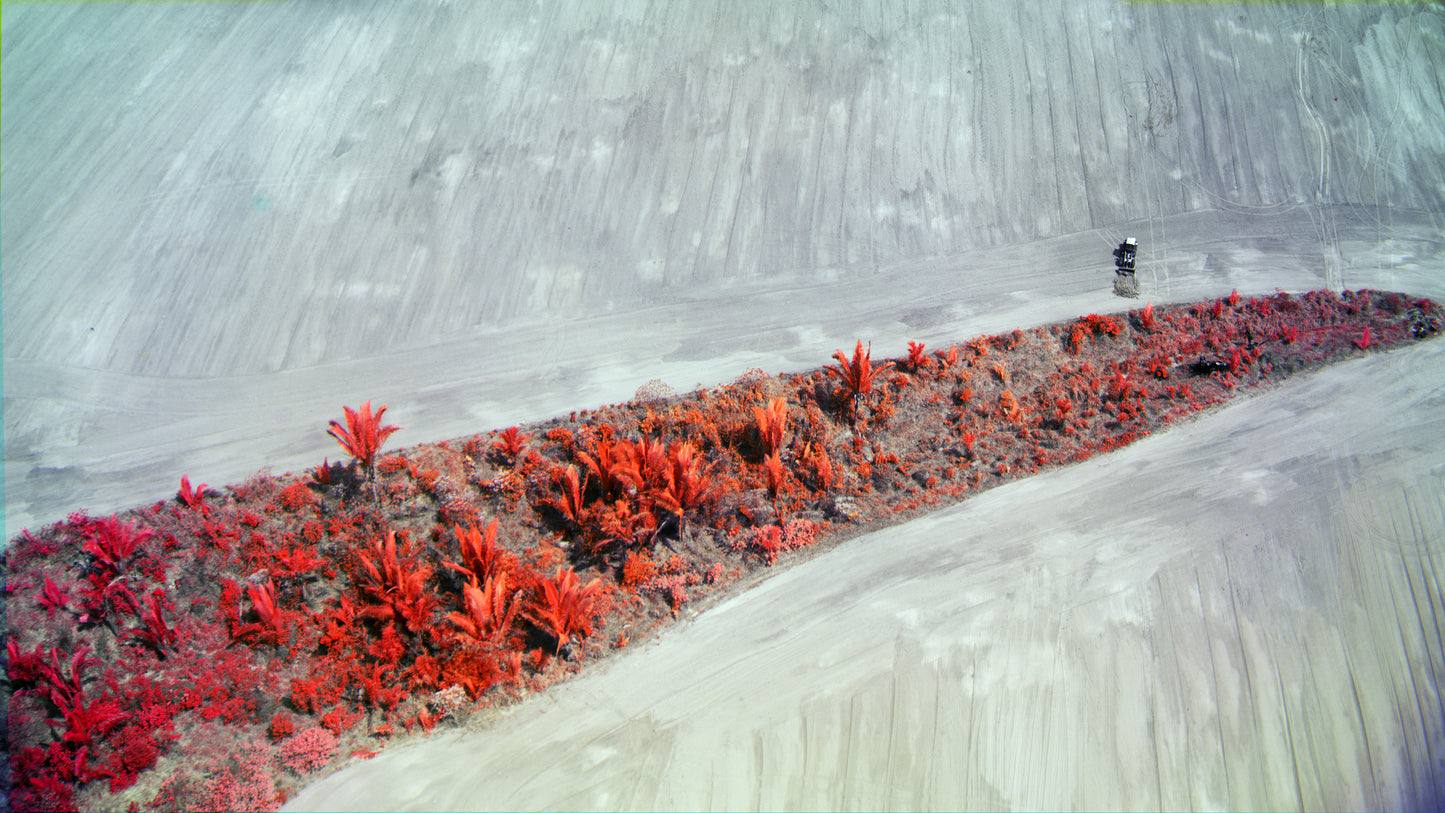 Amazon Rainforest by Richard Mosse