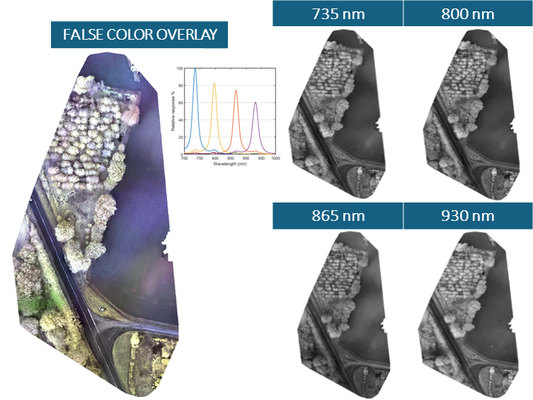 Example - Orthomosaic Mapping with BIO Camera