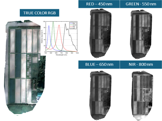 Example - Orthomosaic Mapping with RGB-NIR Camera