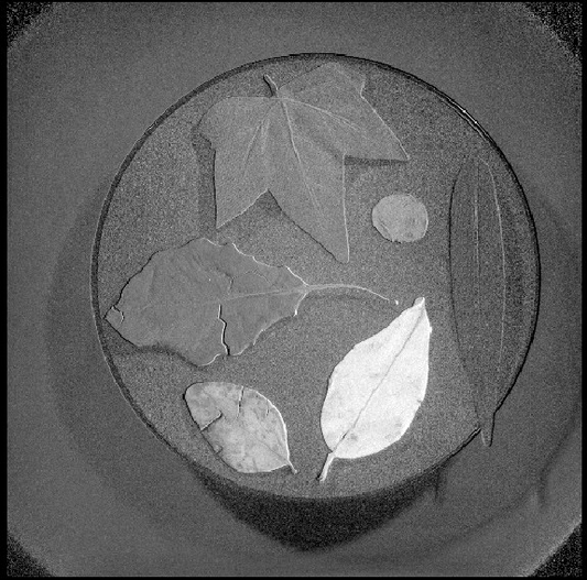 Example Agriculture - Leaves