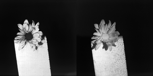 Example UV-NIR - Flower 3