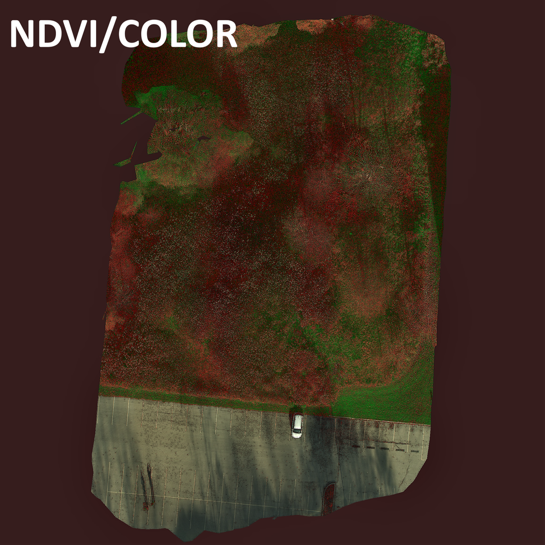 Example NDVI Survey – Spectral Devices